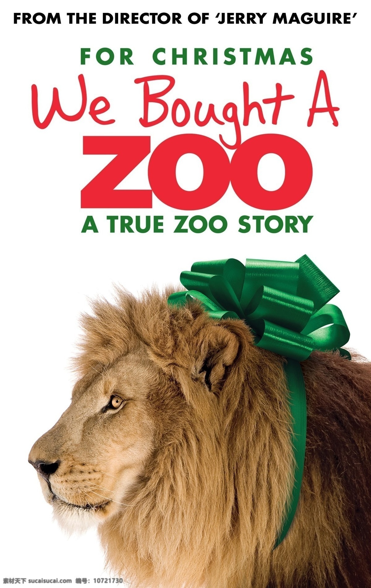 狮子 动物海报 动物园 生物世界 雄狮 野生动物 动物之王 动物园海报 zoo