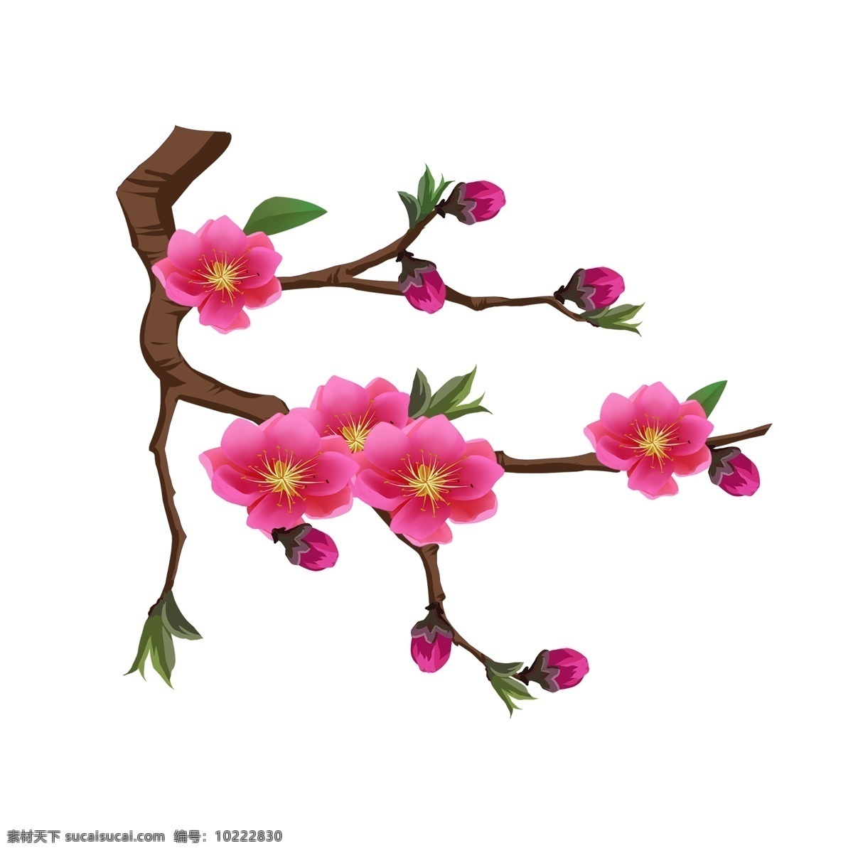 粉色 桃花 花朵 花枝 花卉 手绘 春季 装饰 简约 风