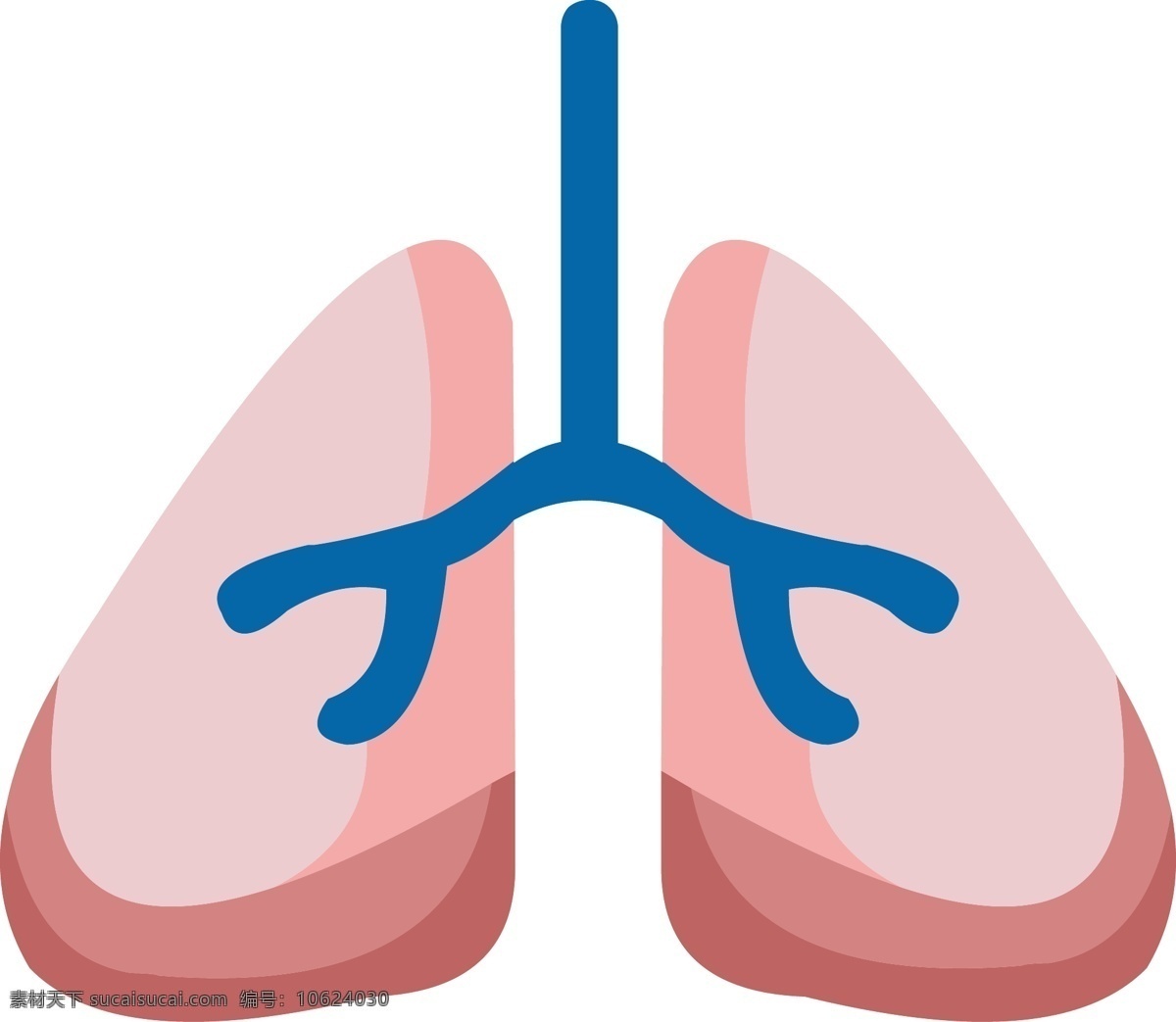 粉色 手绘 人体 器官 肺 矢量 免 抠 矢量肺 肺结构 器官结构 手绘器官 人体器官 矢量器官 器官图 五脏六腑 脏器 卡通器官
