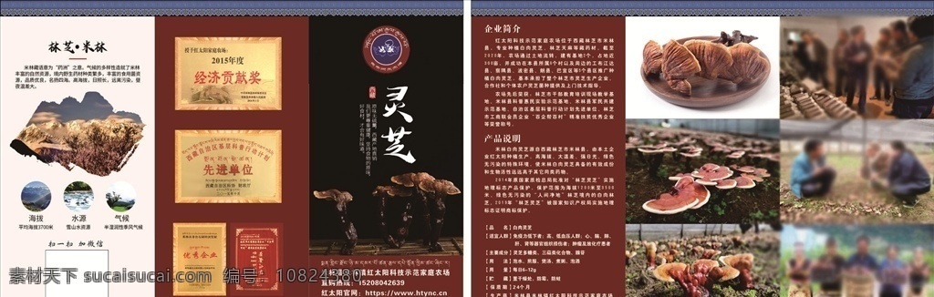灵芝宣传册 灵芝 西藏灵芝 人工灵芝 手册 折页 藏式花边 西藏建筑
