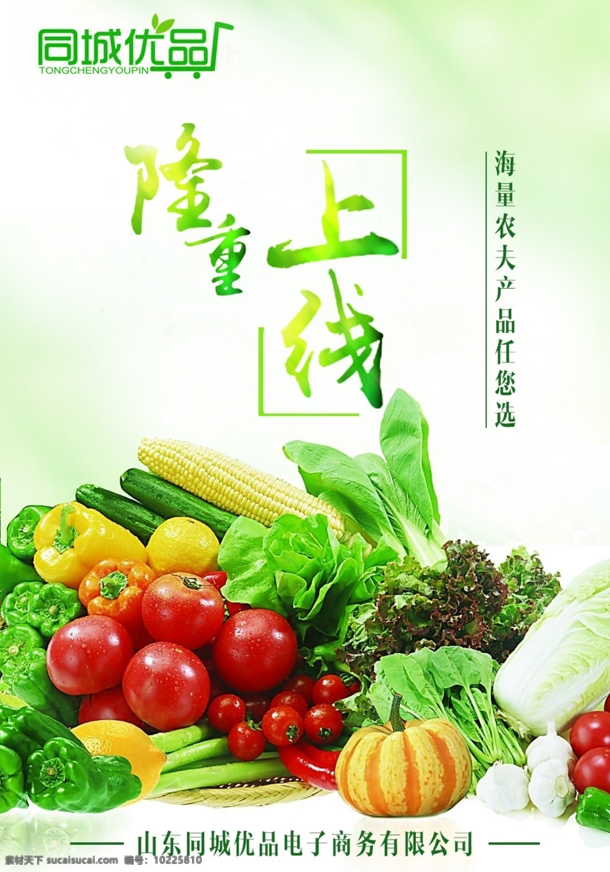 农副产品海报 果蔬 电商促销 新品上市 农副产品 生鲜