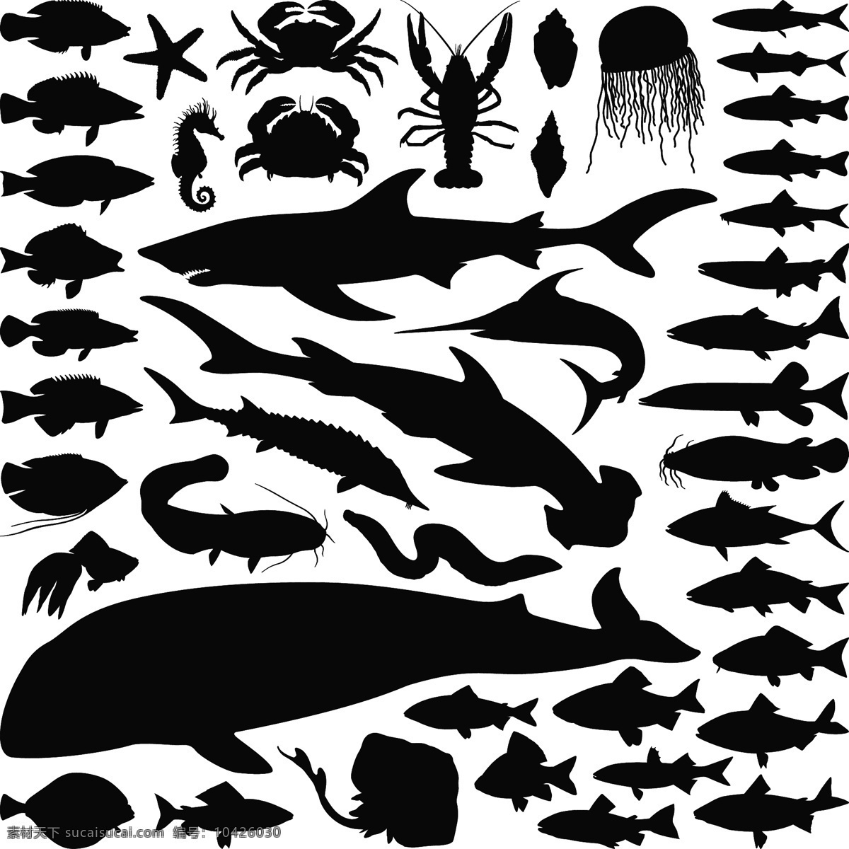 海洋 动物 剪影 鲸鱼 龙虾 鲨鱼 虾 鱼 水生 生物 载体 矢量图 其他矢量图