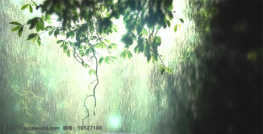 光斑 森林 视频 动感 幻化光波 飘零 热带森林 森林视频素材 下雨 片头素材 片尾 wmv 黑色