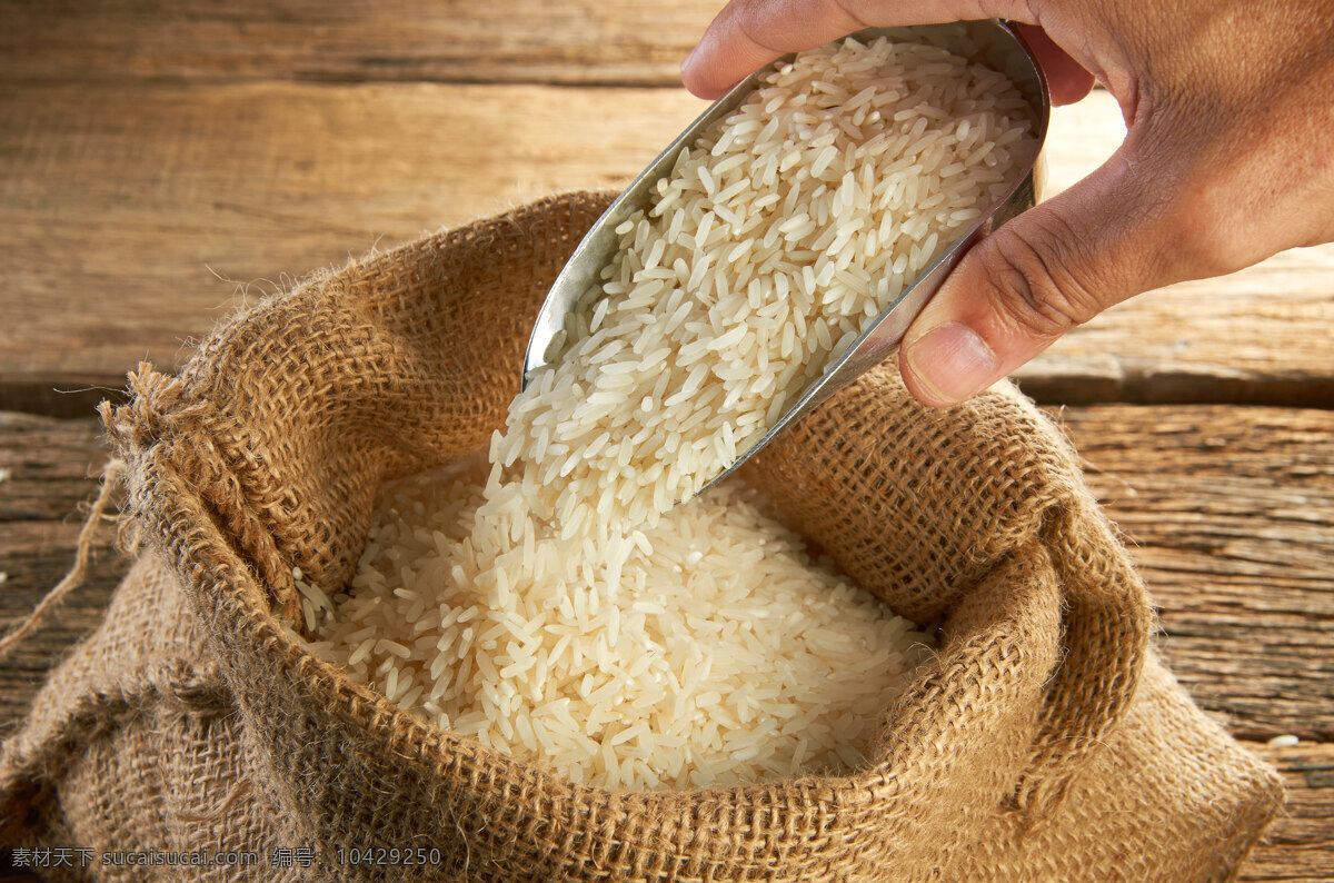 大米 优质 美味 健康 营养 食物原料 餐饮美食