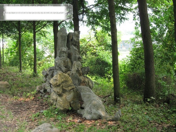 假山免费下载 杭州风景 杭州西湖 旅游摄影 摄影图 大清谷假山 杭州旅游 风景图片 风景 生活 旅游餐饮