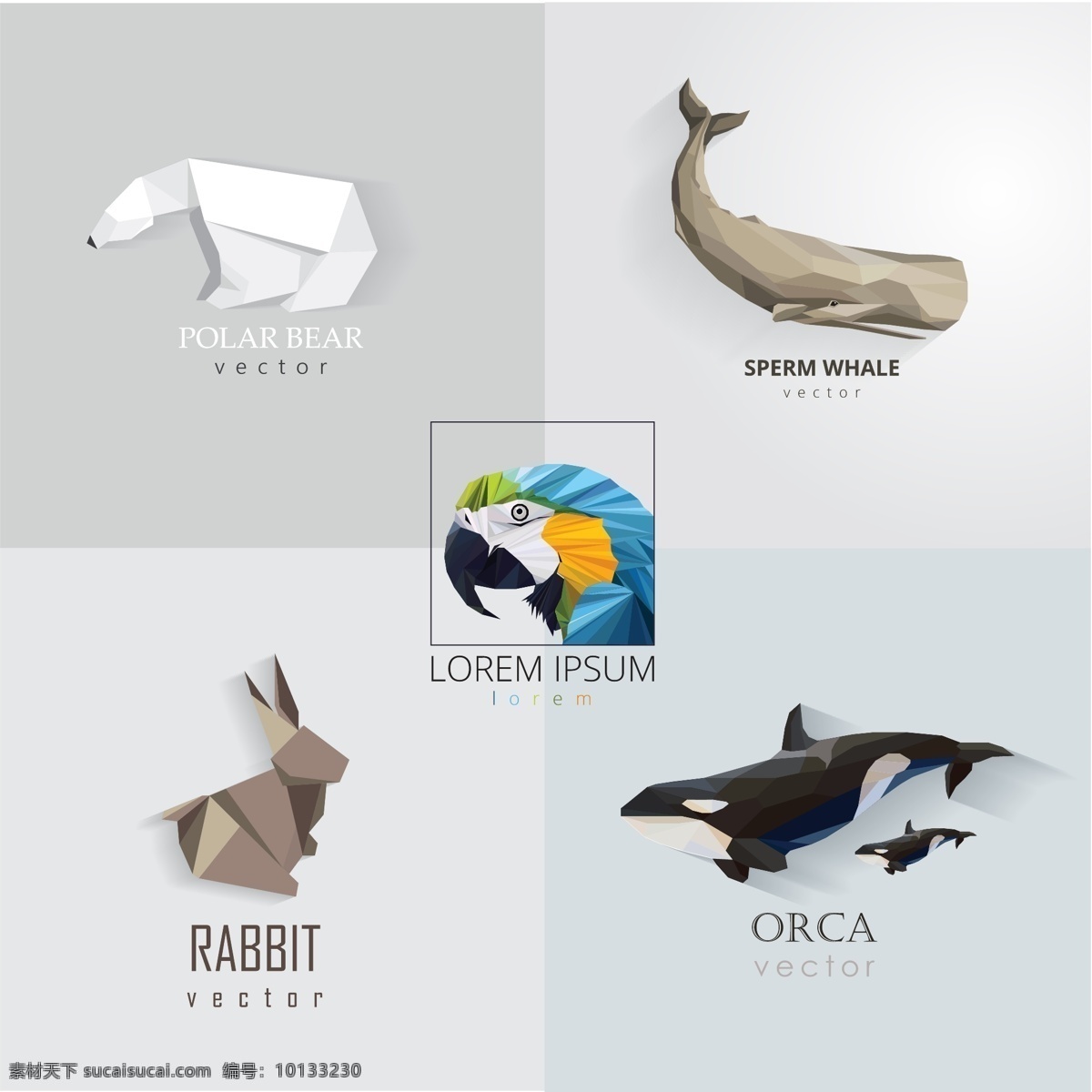 卡通动物标志 创意动物标志 动物标志 动物图标 动物形象 卡通动物 剪纸动物 动物logo 动物保护 鹦鹉 虎鲸 抹香鲸 兔子 北极熊 标志 logo设计