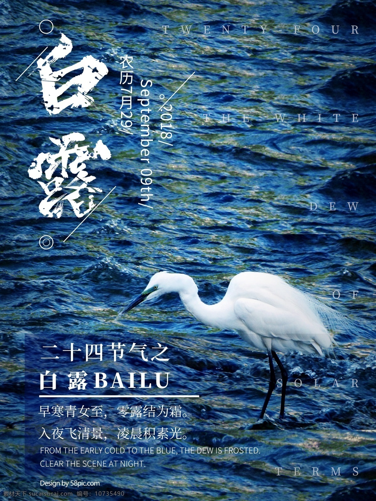 深蓝色 白露 节气 海报 白鹭 暗