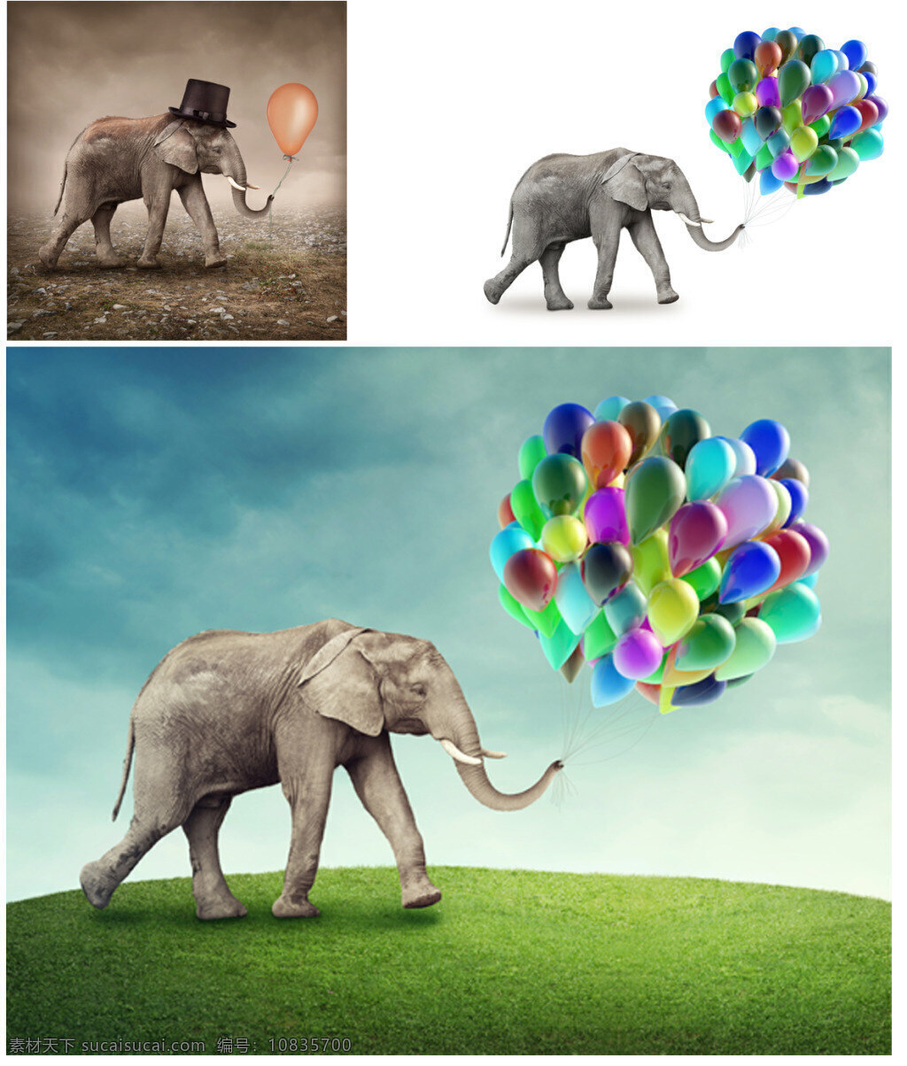 大象和汽球 创意 动物 大象 气球 彩色 白色