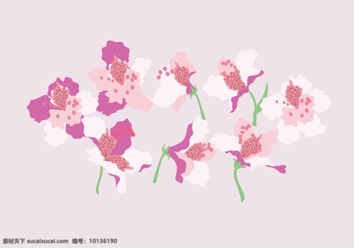 手绘 矢量 粉色 花卉 花朵 矢量素材 手绘插画 手绘花朵 手绘花卉 手绘植物