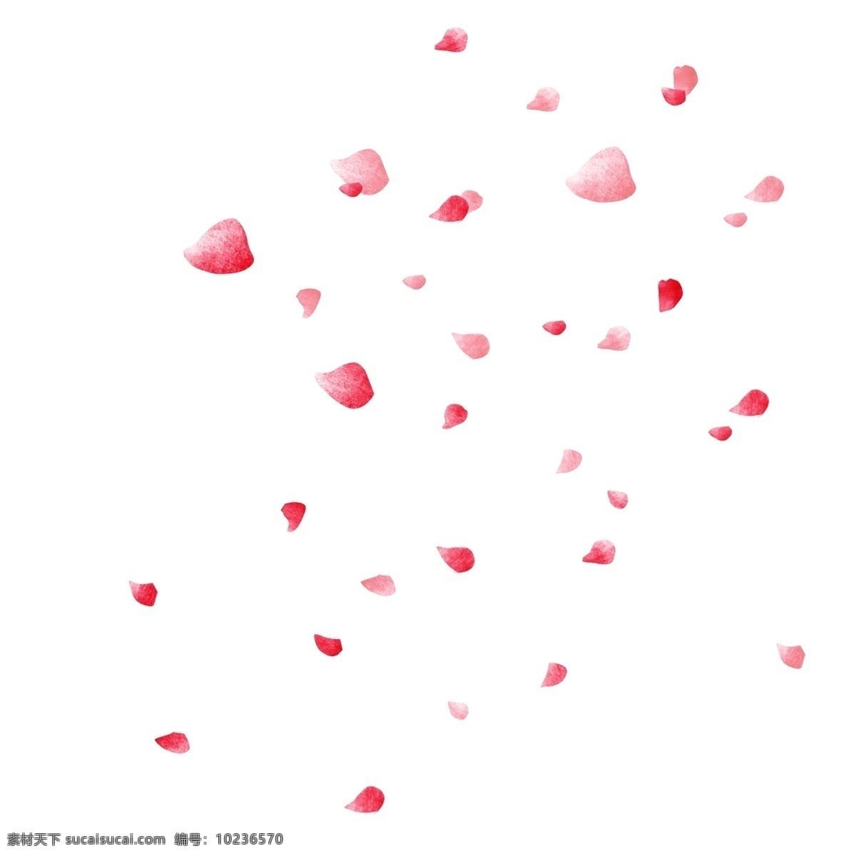 粉色 花瓣 手绘 插画 粉色的花瓣 漂浮的花瓣 浪漫的花瓣 花瓣装饰 情人节花瓣 婚礼花瓣 花瓣插画