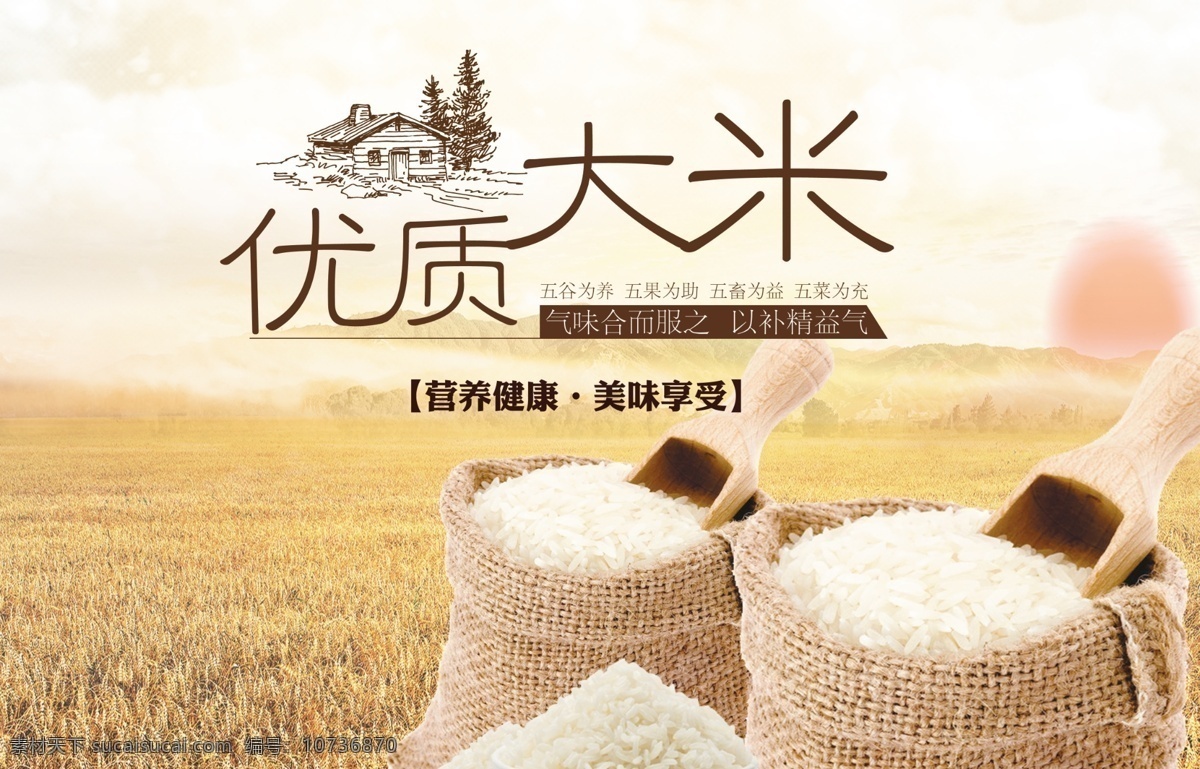 大米 优质大米 东北大米 稻米 米饭 水稻 分层