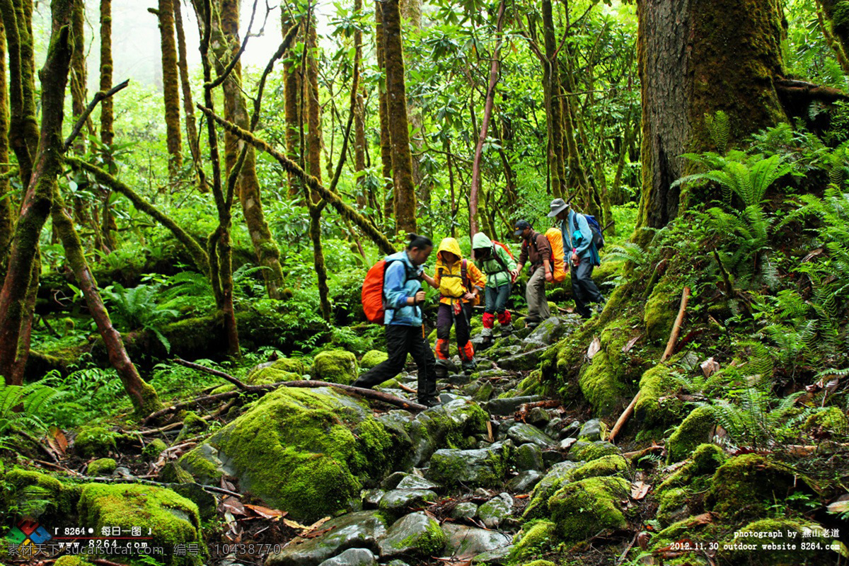 户外旅游摄影 户外 登山 旅游 驴友 人物 森林 野外 青苔 树林 自然风景 旅游摄影