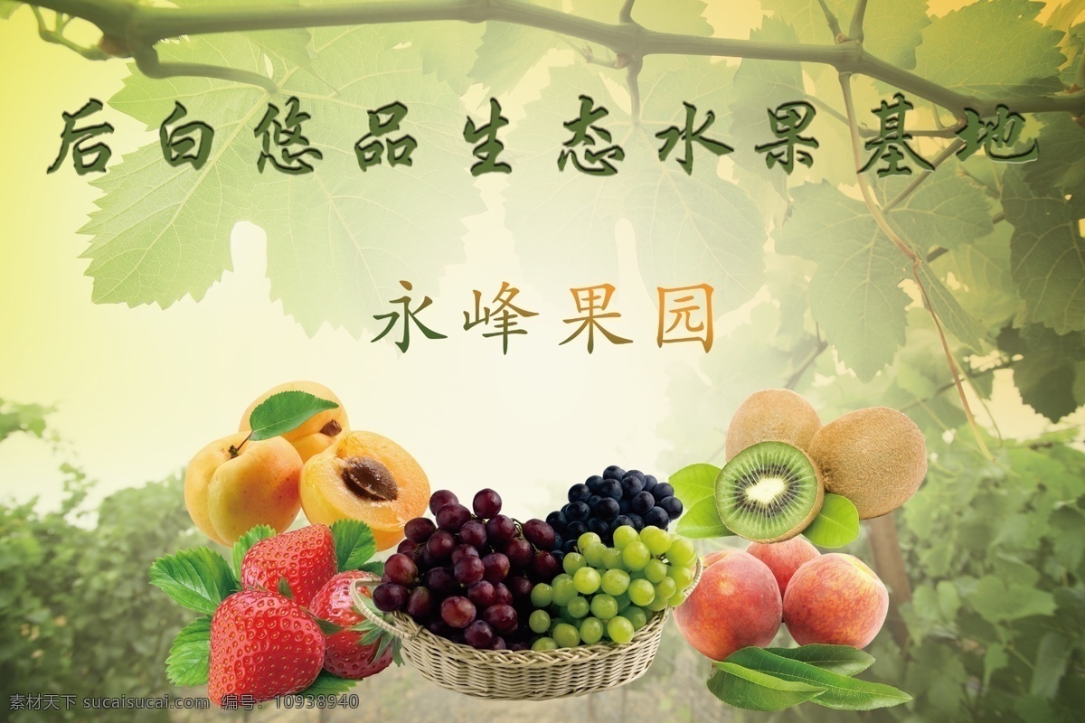 水果 基地 宣传牌 生态水果 猕猴桃 桃子 葡萄 绿色