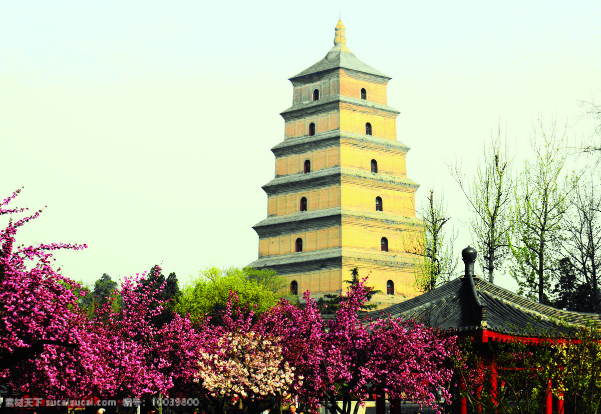 西安大雁塔 花簇 大雁塔广场 花丛 绿色 紫色 旅游摄影 国内旅游
