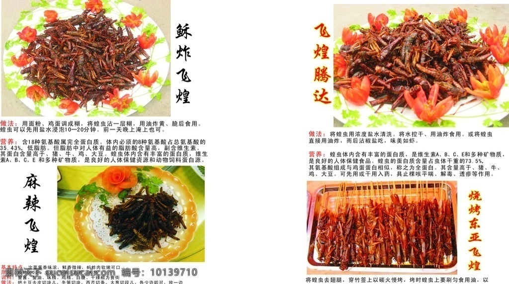 食用蝗虫 食用 稣炸飞煌 飞煌腾达 麻辣飞煌 烧烤东亚飞煌 蝗虫的做法 展板 做法 海报 蝗虫海报 蝗虫展板