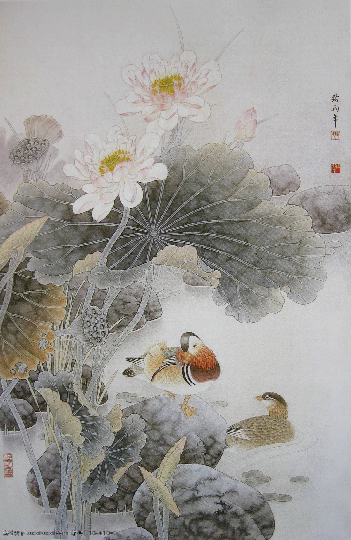 池塘 动物 风景画 工笔荷花 工笔画 国画 国画花鸟 荷花 工笔 设计素材 模板下载 中国画 工笔彩墨画 彩墨工笔画 花鸟国画 花鸟画 彩墨花鸟国画 书法 大师作品 植物 荷叶 鸭子 野鸭 莲藕 绘画书法 文化艺术 装饰素材 山水风景画