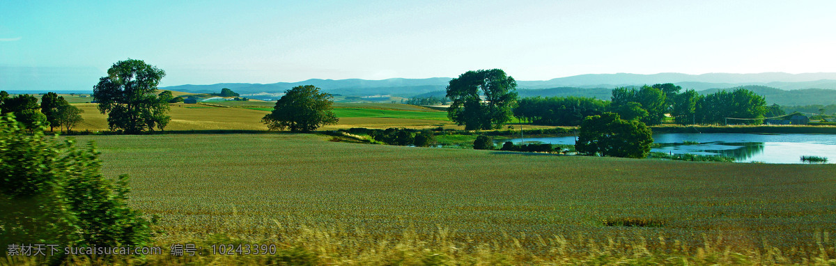澳洲 塔斯马尼亚 农场 草原 草地 青草 旅游 风光 风景 国外风景 国外旅游 旅游摄影 白色
