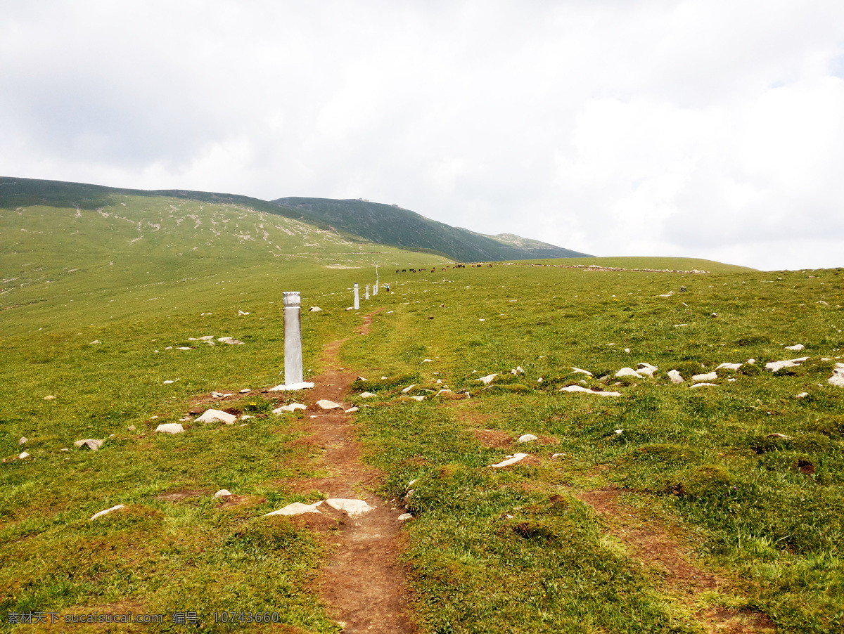 五台山 羊肠小路 高山草甸 指路桩 旅行 旅游摄影 自然风景 白色