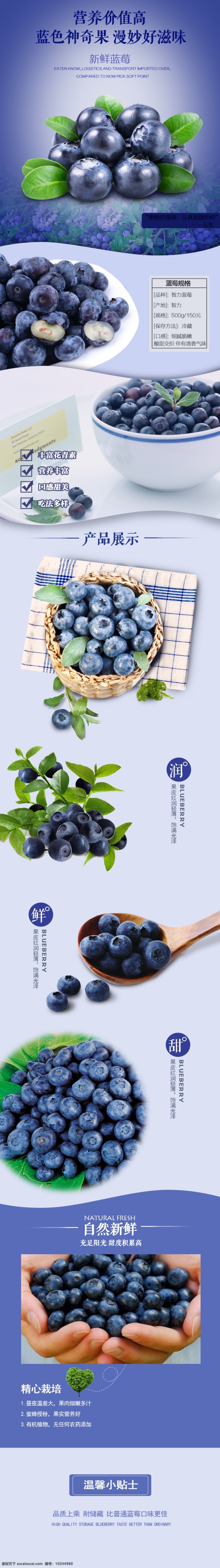 蓝莓详情页 详情 淘宝素材 淘宝设计 淘宝模板下载 蓝色