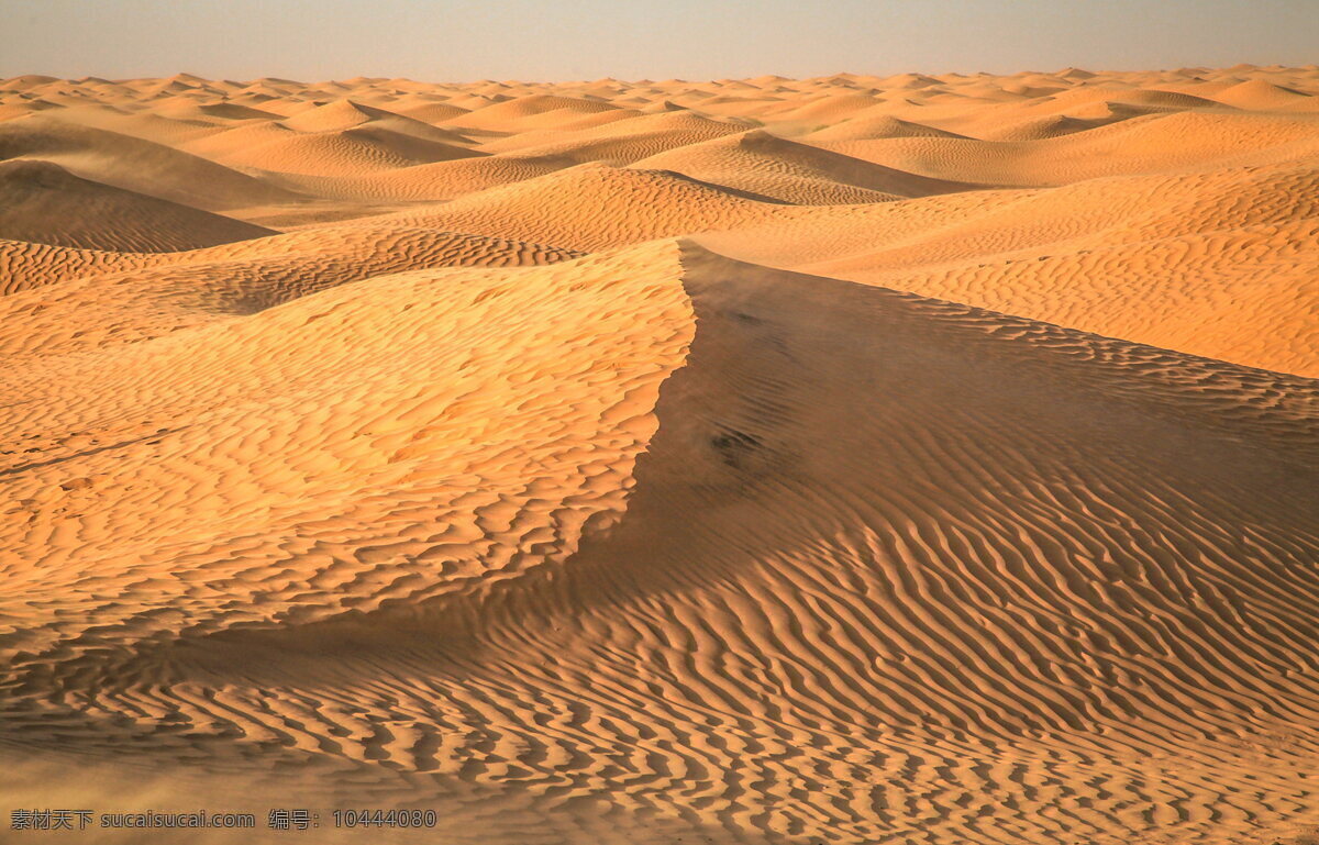 撒哈拉沙漠 旅游 沙漠风光 沙漠 沙幕 荒漠 戈壁 沙丘 沙子 沙粒 黄沙 干旱 缺水 荒凉 荒芜 沙质荒漠化 土地 沙漠风景 自然风景 旅游景观 外国旅游 旅游摄影 自然景观