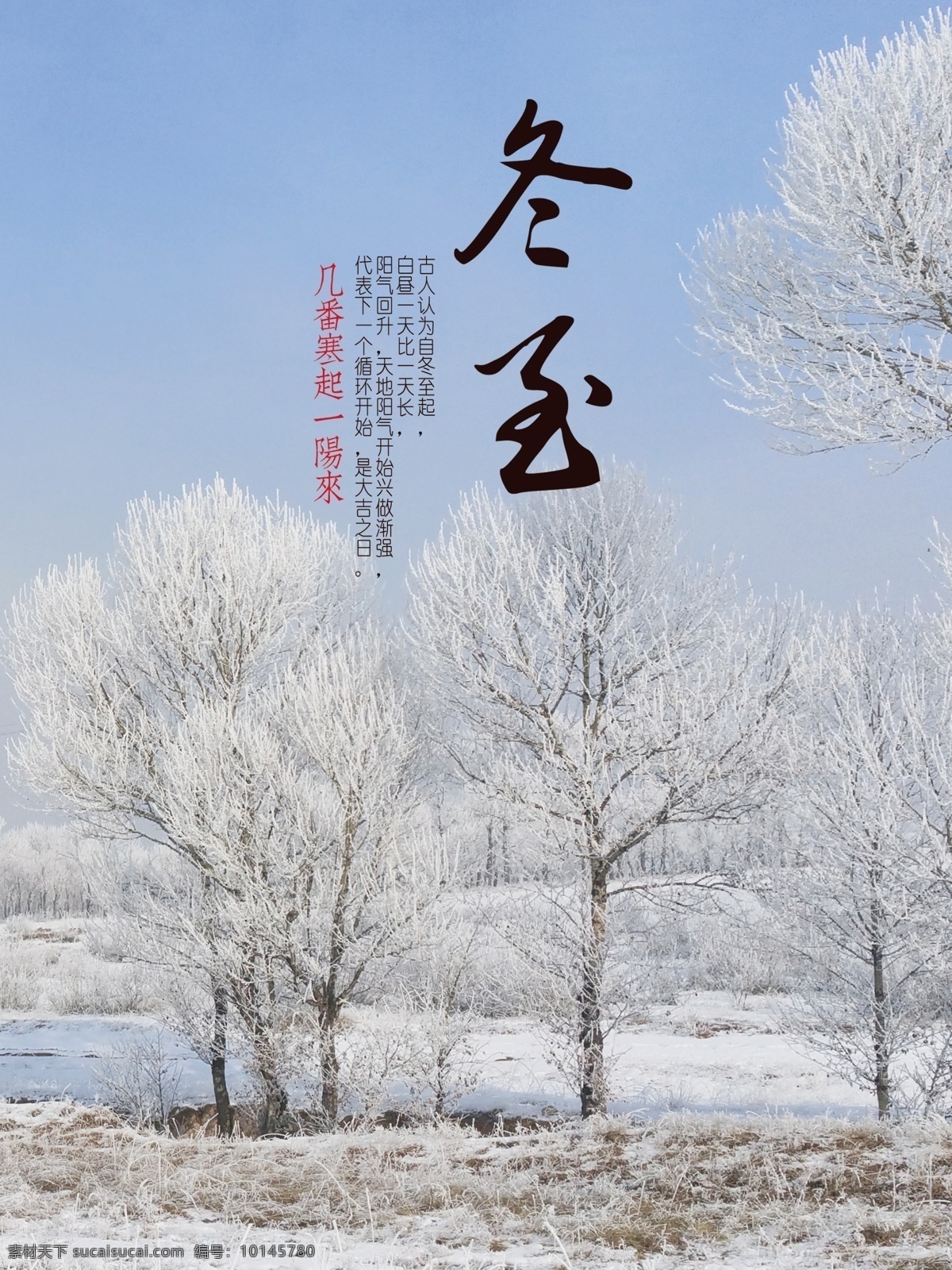 蓝色 唯美 配 图 冬至 节日 海报 配图 雪地 冬天