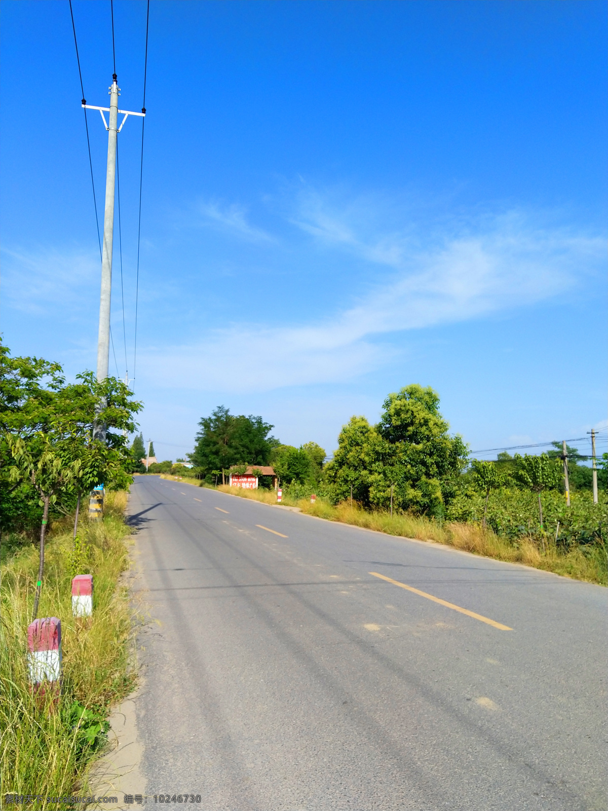 蓝天 下 乡村 风光 树木 美景 天空 田园 乡村风采 自然景观 自然风景