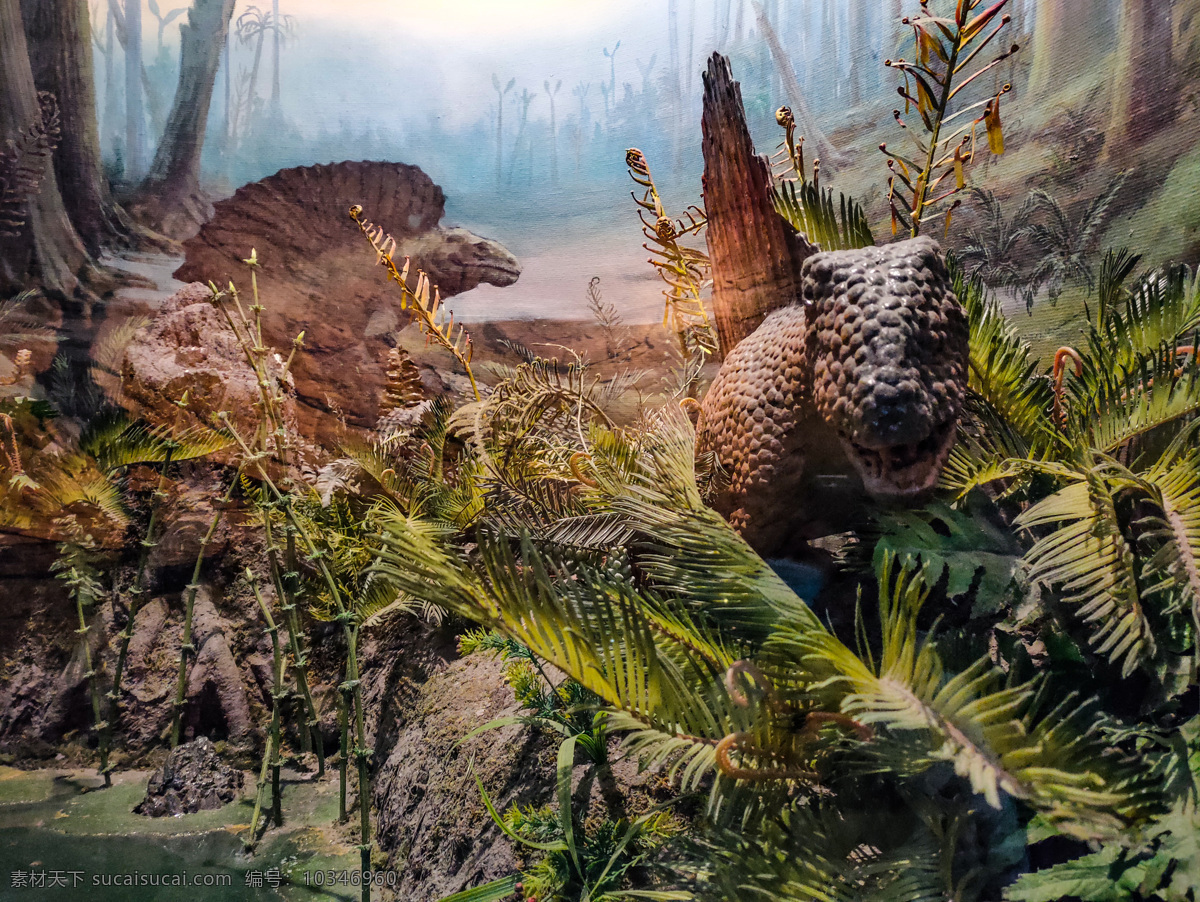 恐龙世界 杭州 博物馆 景点 风景 自然 人文 文化 动物 海底 鱼 恐龙 爱 旅游摄影 国内旅游