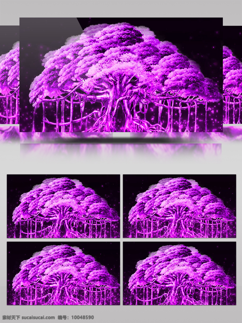 紫色 浪漫 童话 婚礼 森林 梦幻 树 视频 浪漫粒子 粒子光斑 粒子光线 炫彩粒子 炫酷粒子 炫丽 震撼粒子