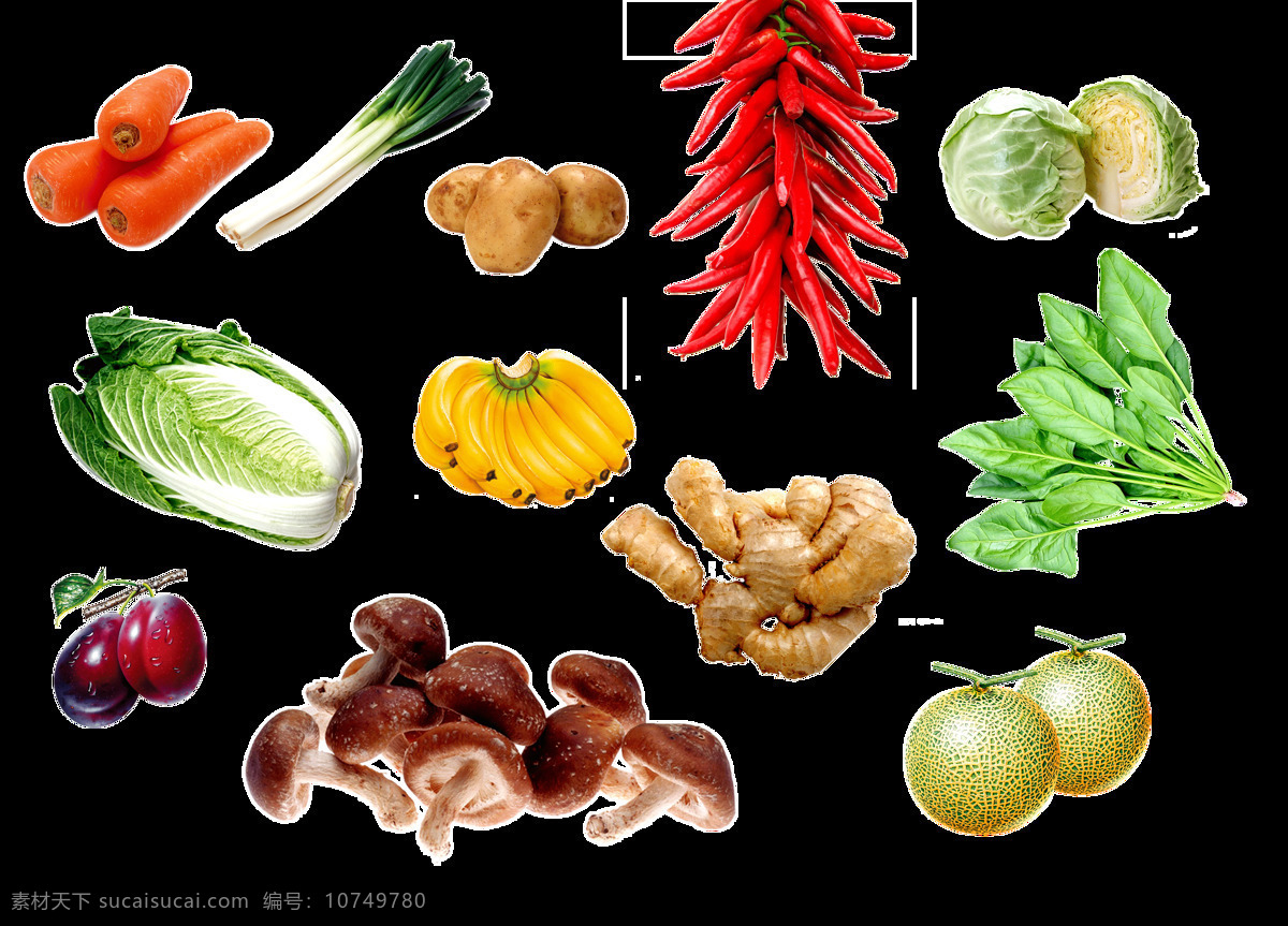 蔬菜 大集 合 元素 营养 有机食物