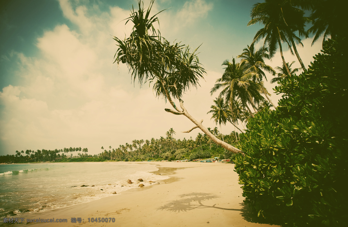 美丽 蓝天 白云 椰子树 大海 海浪 海滩 蓝天白云 沙滩 自然风光 海洋海边 旅游风景 大海图片 风景图片