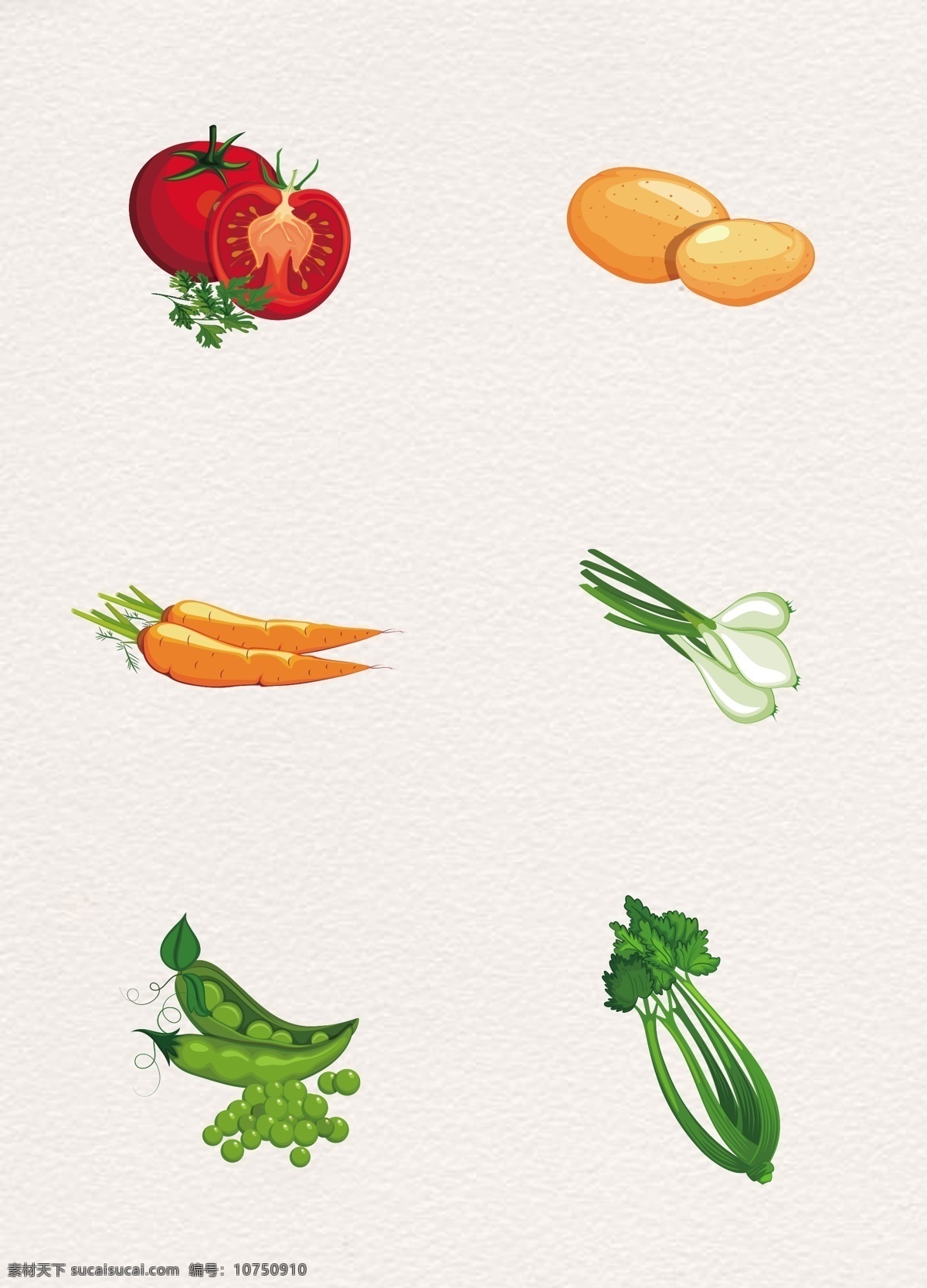 矢量 手绘 新鲜 蔬菜 彩色 西红柿 土豆 胡萝卜 荷兰豆 葱