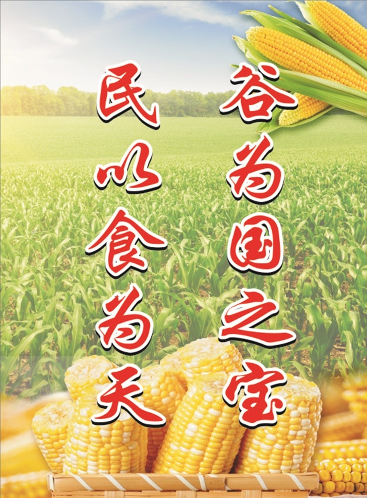 粮食 玉米 海报 玉米田 背景