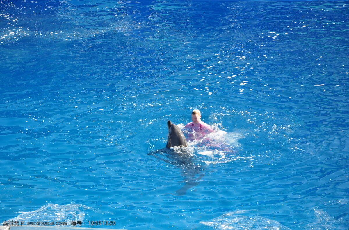 海豚表演 人 海豚 表演 海洋馆 水 蓝色 水池 水花 动物 海洋生物 生物世界