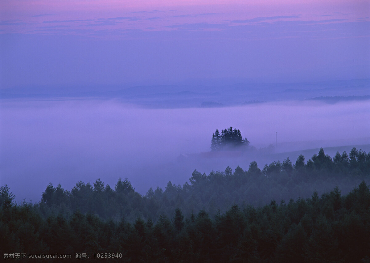 树木 云海 自然 风景 户外 美境 树林 朦胧 烟雾 山水风景 风景图片