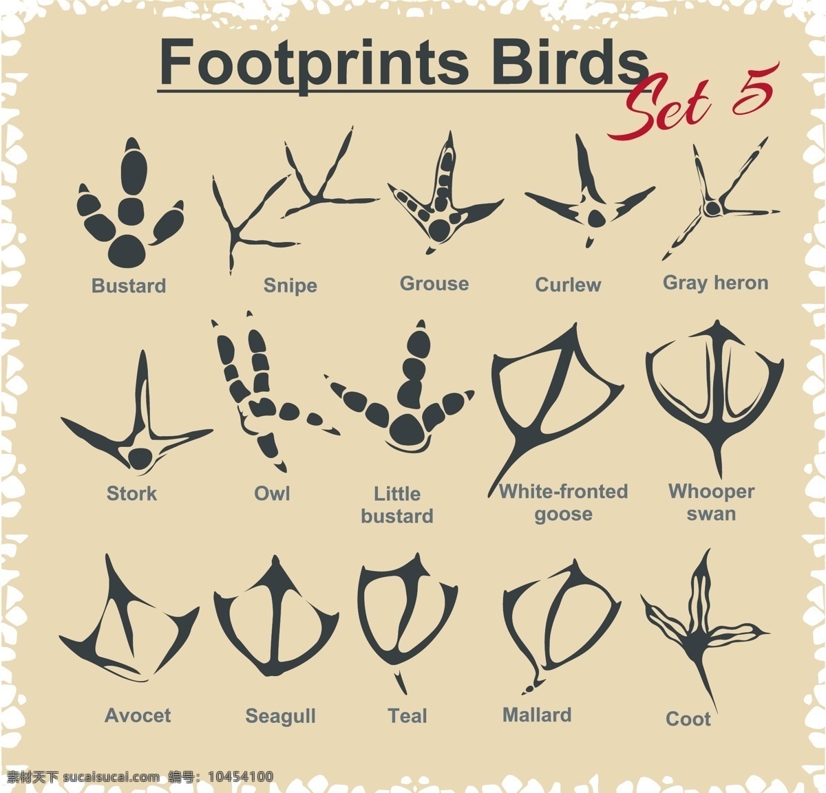 各种 动物 脚印 图案 矢量