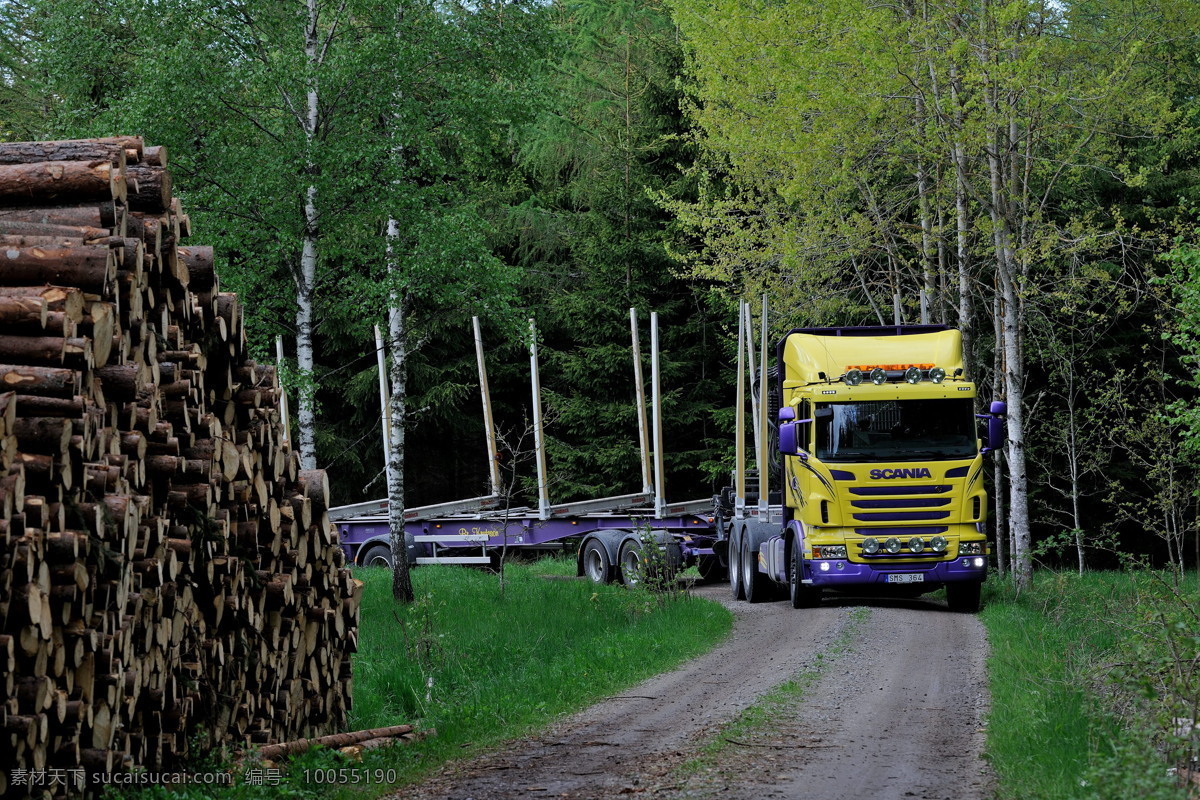 斯堪尼亚 重卡 林业货运车 大车头 加长车身 柴油发动机 大马力 高吨位 货物搬运 运输工具 载重卡车 瑞典生产制造 现代交通工具 交通工具 现代科技
