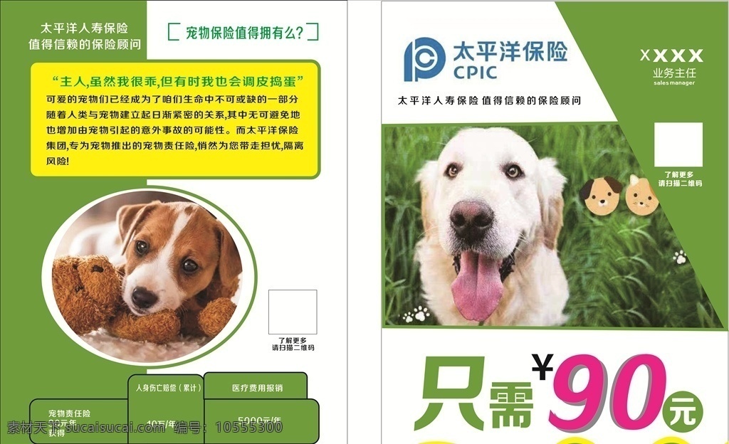 宠物 保险 宣传单 绿色 环保 dm宣传单