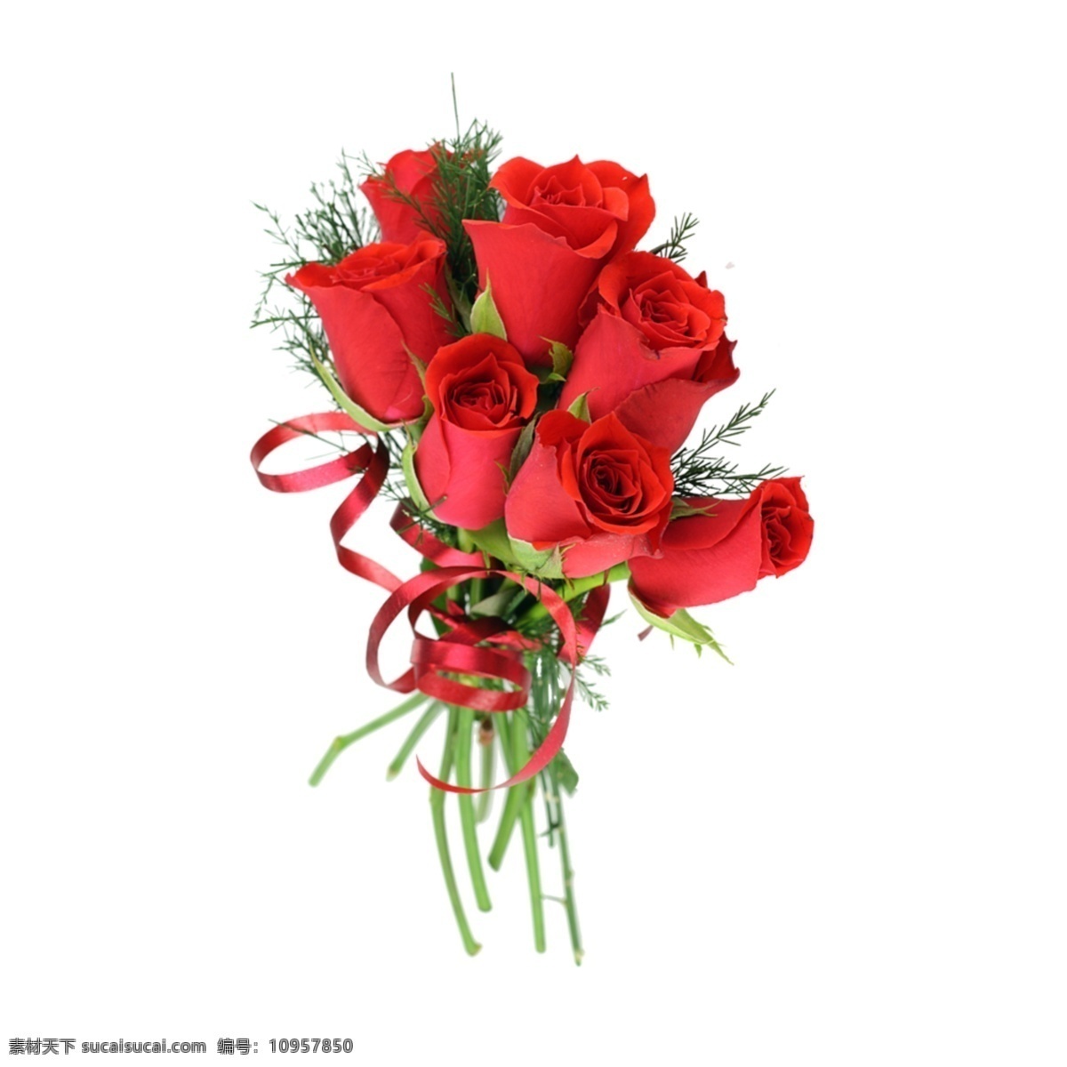 红色玫瑰花 红色 玫瑰花 花束 花店 红玫瑰 绿枝 花素材