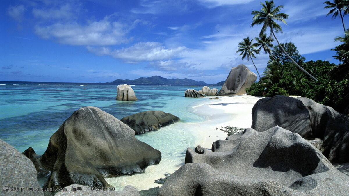 海滩岩石 海滩 岩石 椰子树 海水 蓝天 白云 沙滩 自然风景 自然景观