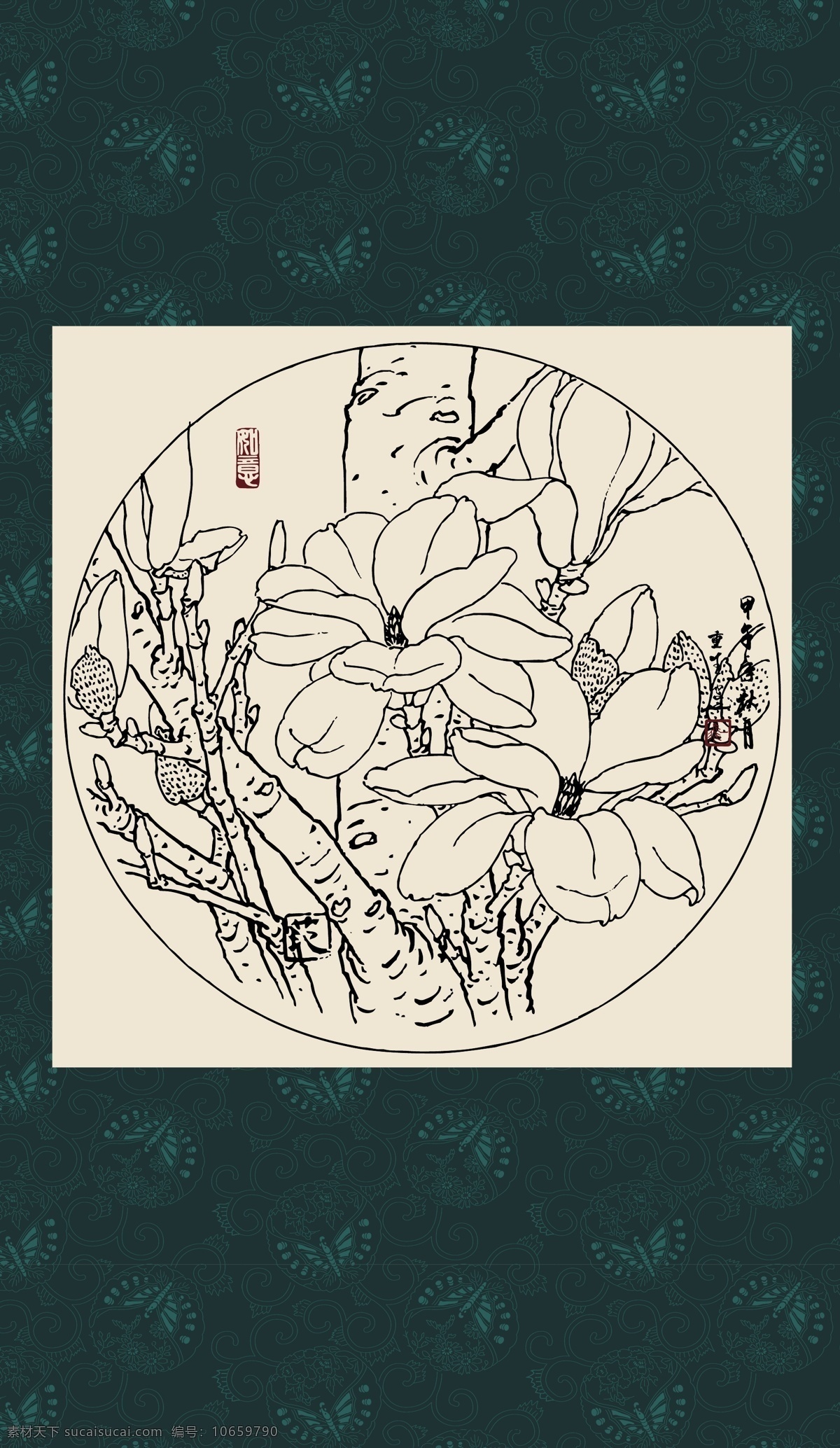 绘画 白描 线描 手绘 国画 轮廓 印章 书法 装裱 植物 花卉 花草 花鸟 工笔 写实 写生 毛笔画 昆虫 白描玉兰 文化艺术 绘画书法