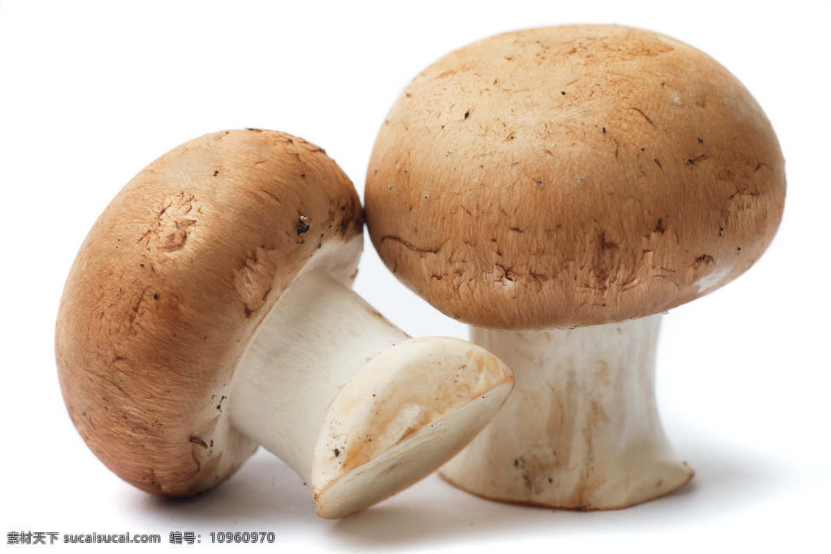 新鲜 蘑菇 新鲜蘑菇 蔬菜 新鲜的蘑菇 绿叶 菜叶 菌类食物 水果蔬菜 餐饮美食 其他生物 生物世界