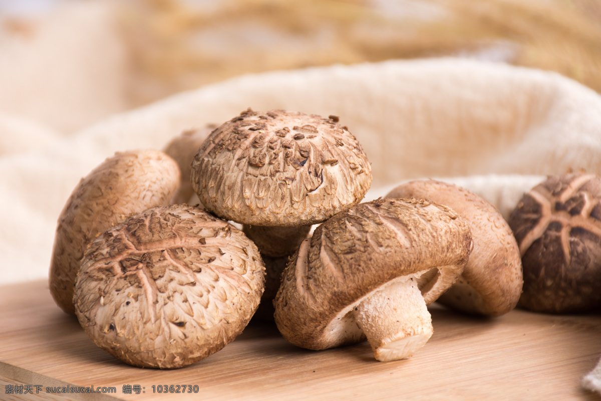 花菇 有机 天然 营养 健康 美味 无公害 蘑菇 香菇 生物世界 蔬菜