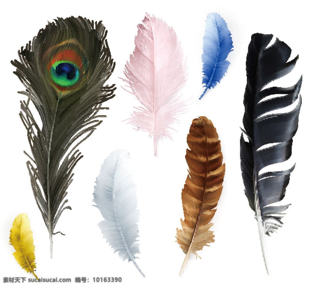 鸟类羽毛矢量 鸟类羽毛 羽毛背景 彩色羽毛 创意背景 时尚背景 抽象背景 矢量素材 孔雀羽毛 白色