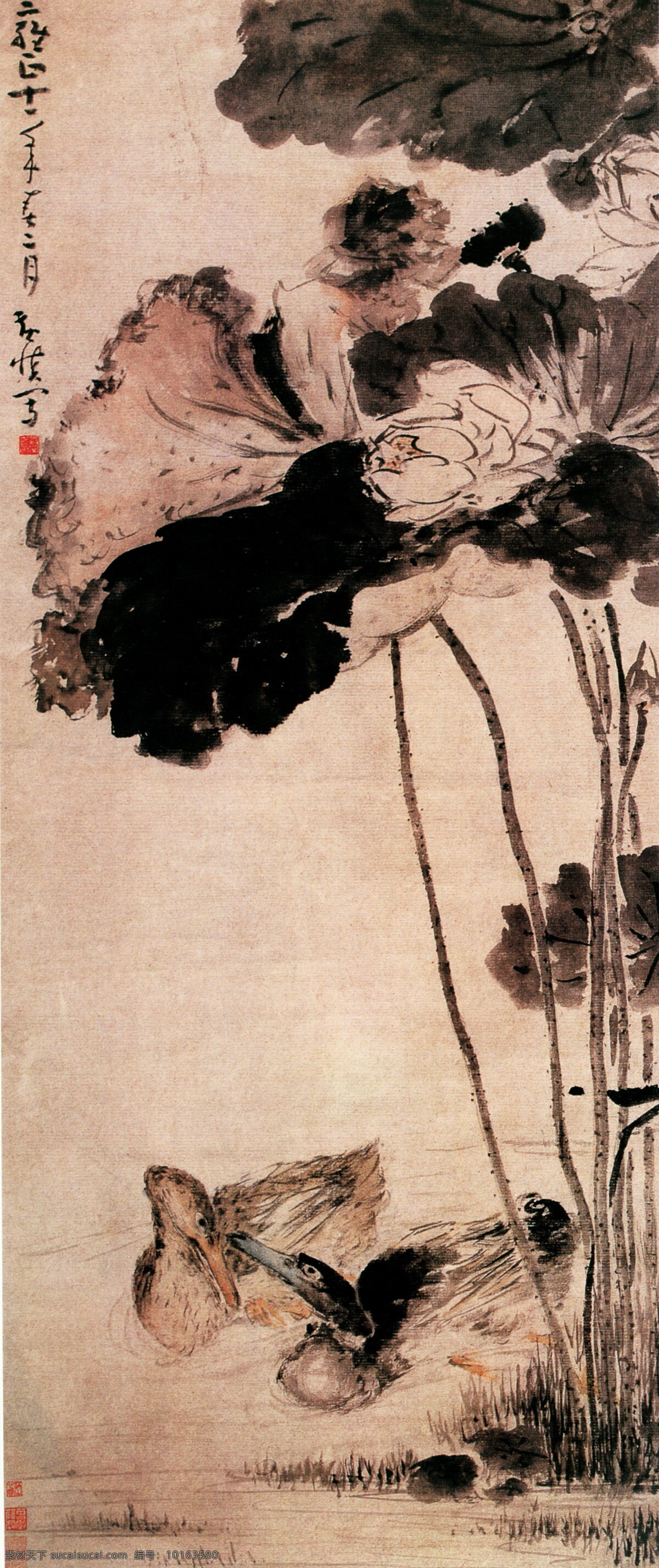 水墨 莲花 鸭子 水墨画 名画 水墨花卉植物 国画 中国画 绘画艺术 装饰画 挂画 书画文字 文化艺术