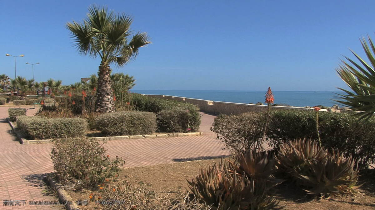西西里岛 海滨 公园 股票 录像 海 海洋 花园 视频免费下载 树木 意大利 植物 前面 其他视频