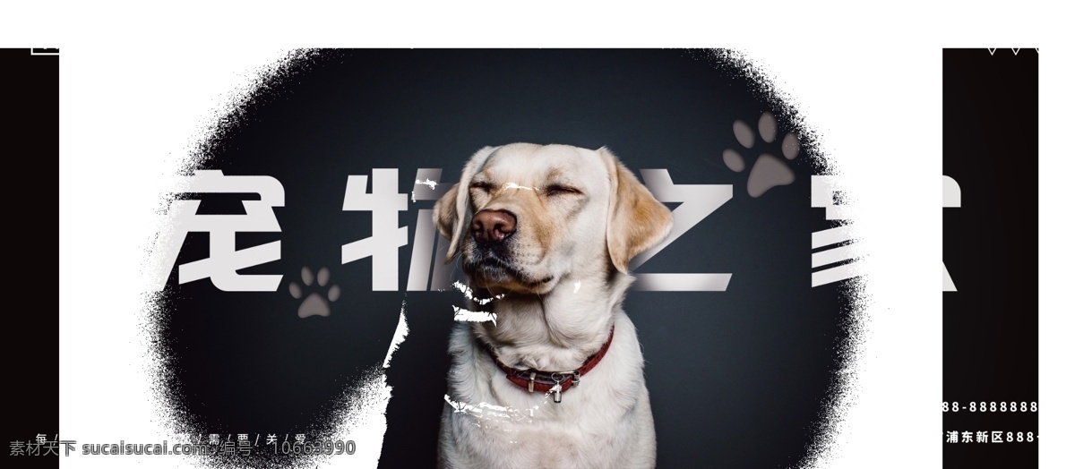 宠物之家 宠物 店 宣传 展板 宠物店 黑色 爪印 狗