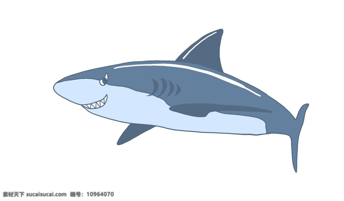 凶猛 蓝色 鲸鱼 生物 游动 大型 海洋