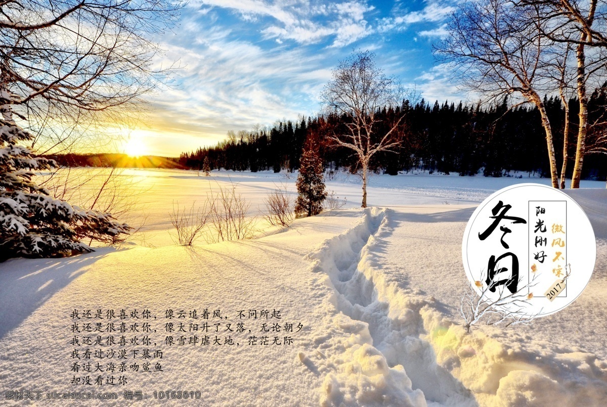 雪地 风景 冬日 阳光 刚好 海报 冬天 文艺 唯美 宁静 清新 雪