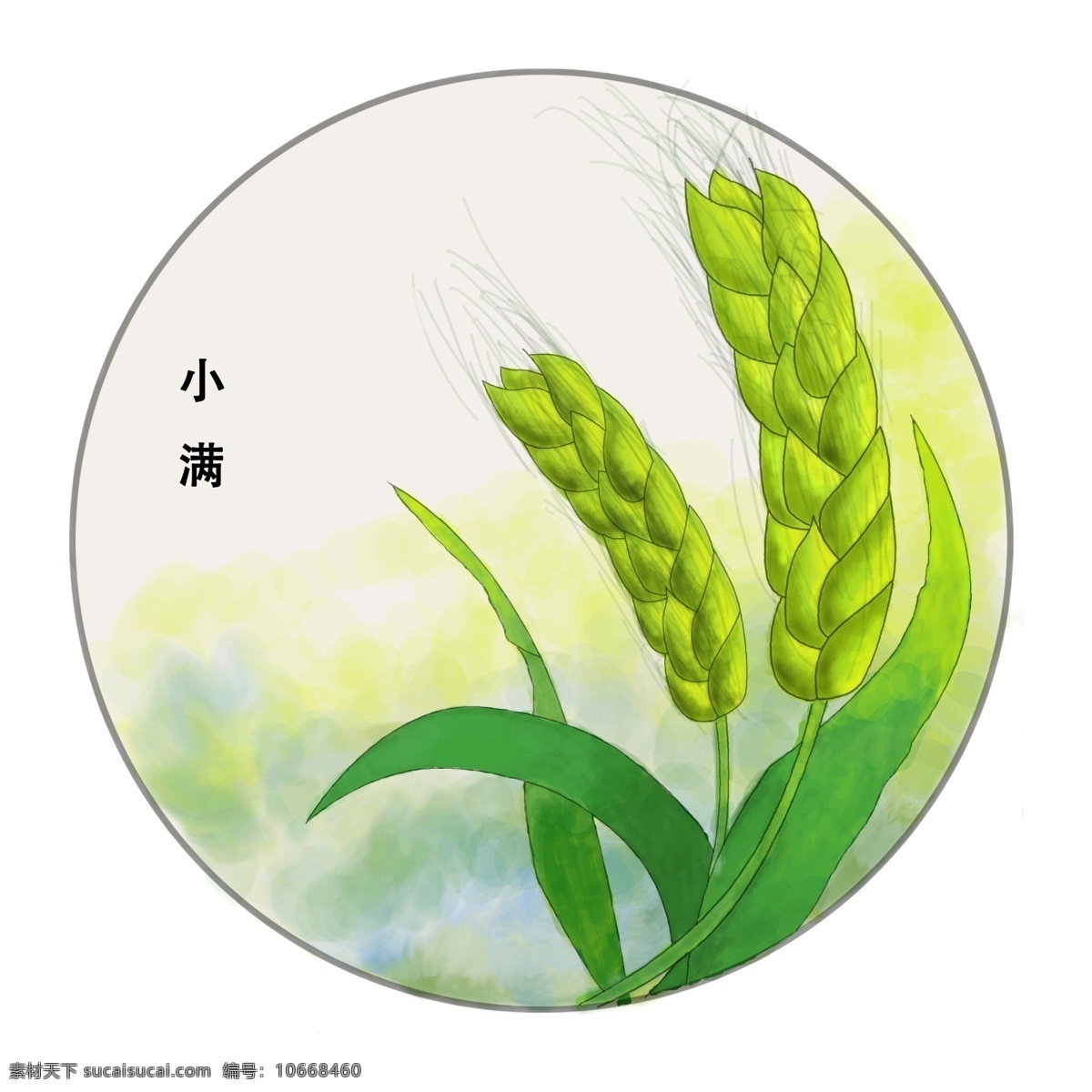小满 节气 图标 小满图标 手绘麦穗 绿色的小麦 未成熟的小麦 时节 小 麦穗 水彩风格小麦