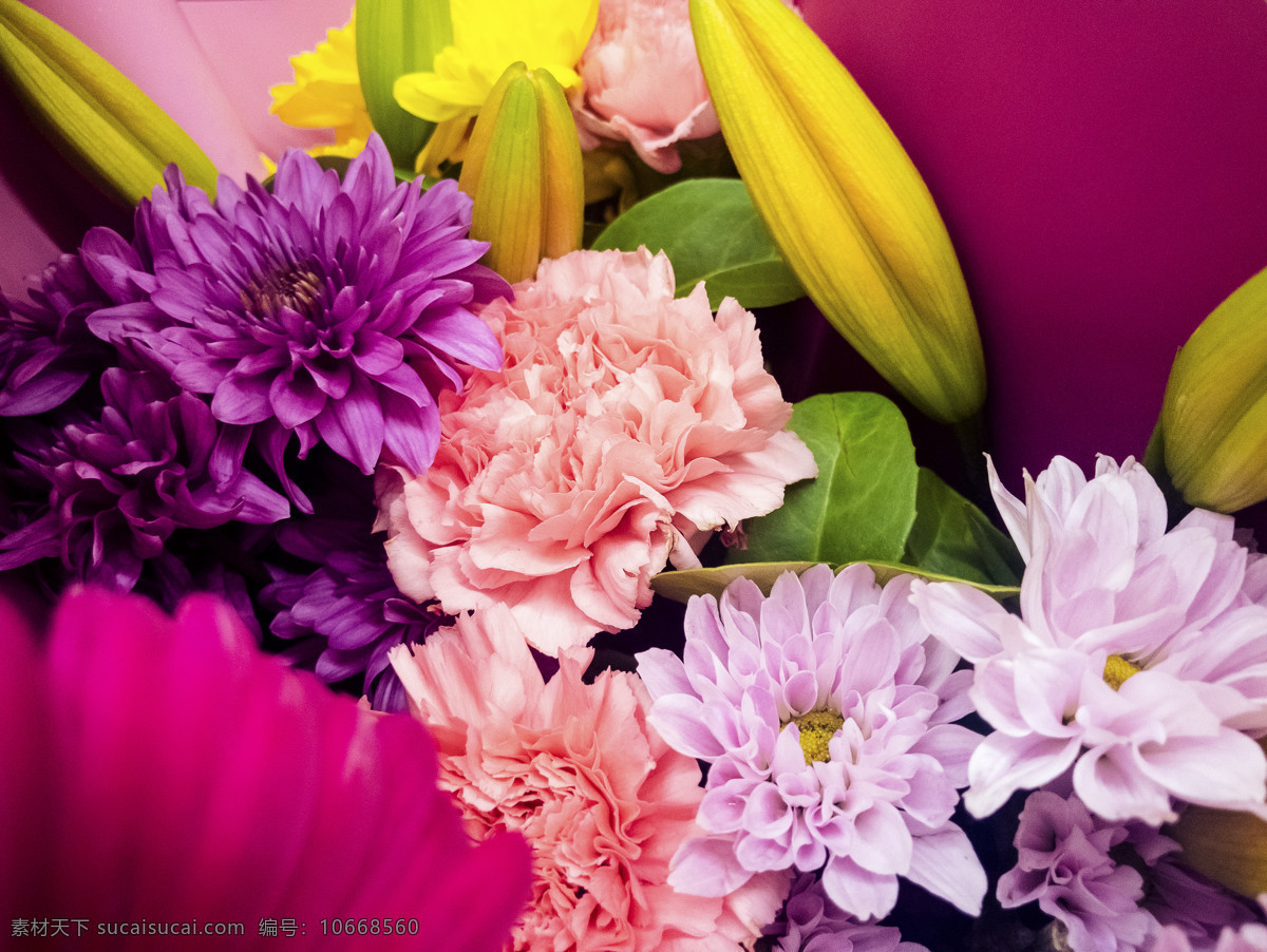 各色 五彩 鲜花 花束 缤纷 艳丽 紫色 粉色 花蕾 千库原创